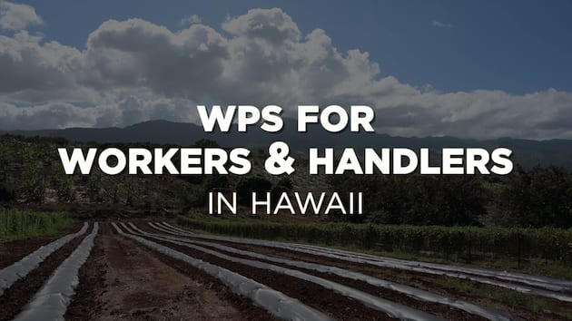 Launch WPS For Workers And Handlers In Hawaii video (opens in new window).