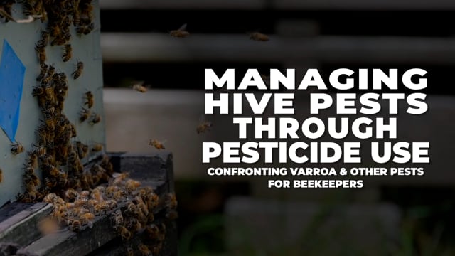 Launch US English Bee Kill Investigation video (opens in new window).